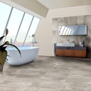 Porcelanato Ice Greige Mate 31,5x62,5 Cm