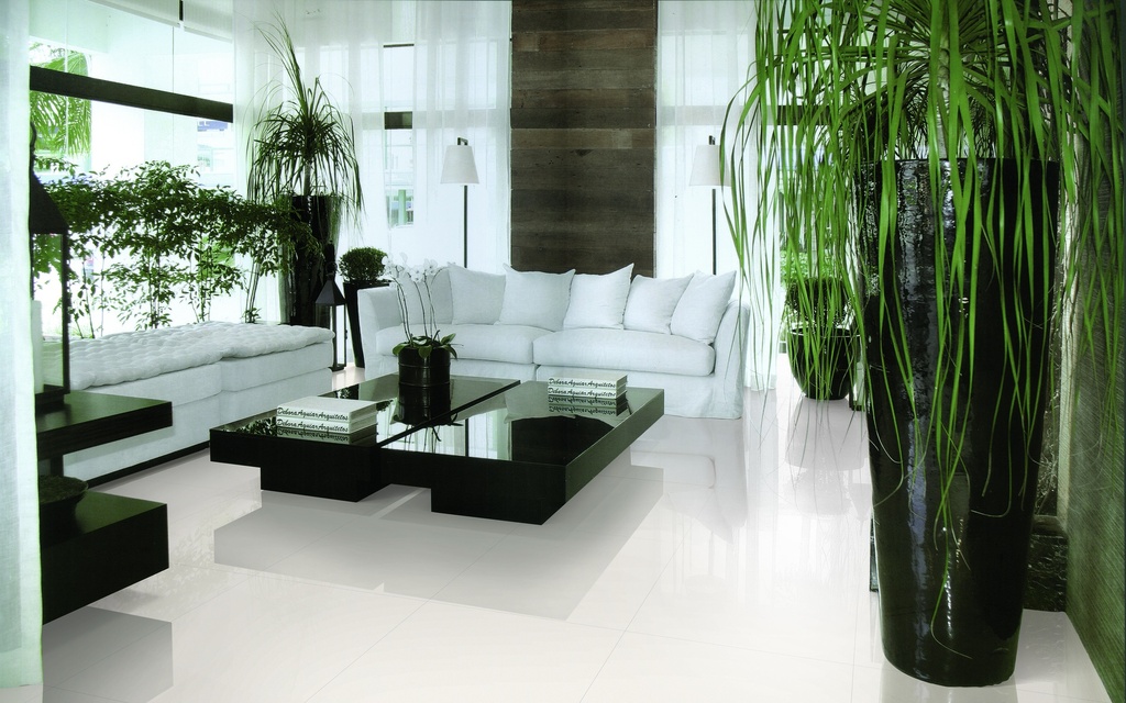 Porcelanato Super White Brillante Rectificado 30x60 cm