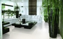 Porcelanato Super White Brillante Rectificado 30x60 cm