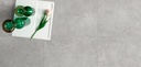 Gres Porcelanico Trafalgar Silver Mate Rectificado 30x60 cm