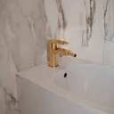 Grifería de Bidet Monomando Externo Alexia Oro Cepillado