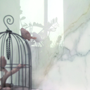 Porcelanato Diamond Gold Pulido Rectificado 60x120cm