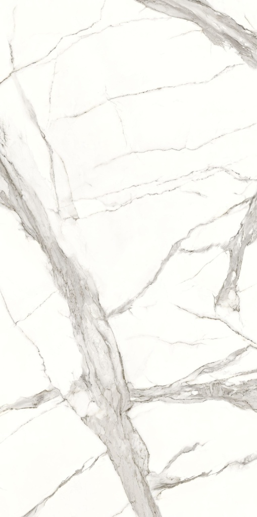 Porcelanato Statuario B Mate Rectificado 160x320 cm