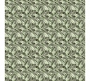 Porcelanato Amazonia Mate Rectificado 60x120 cm