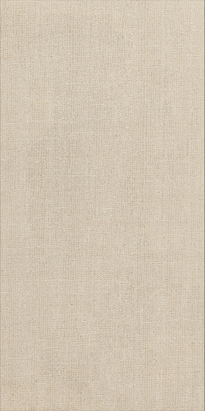 Porcelanato ReConcrete Caribbean RO02 SP Rectificado 60x119,7 cm