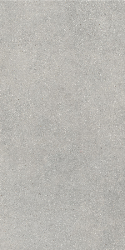 Porcelanato ReConcrete Artic RO04 SP Rectificado 60x120 cm