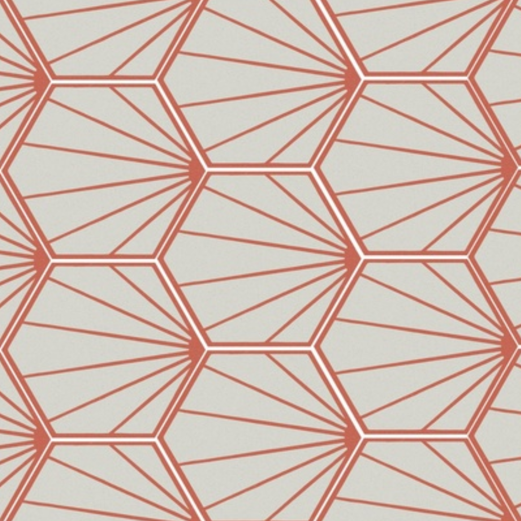 Porcelanato Paprica Par P3 Col Mate Rectificado 25x21,6 cm