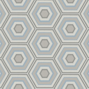 Porcelanato Paprica Par P1 Col Mate Rectificado 25x21,6 cm