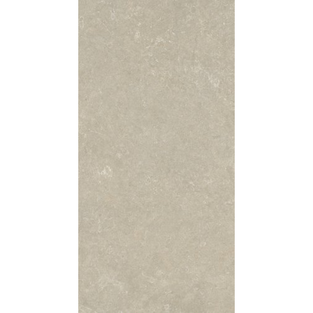 Porcelanato Arkistyle Limy Mate Rectificado 60x120cm