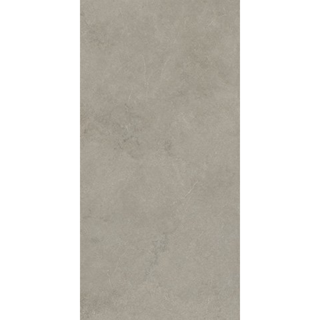Porcelanato Arkigeo Rupe Mate Rectificado 60x120cm 