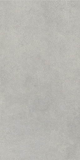 [CCM3] Porcelanato ReConcrete Artic RO04 SP Rectificado 60x120 cm