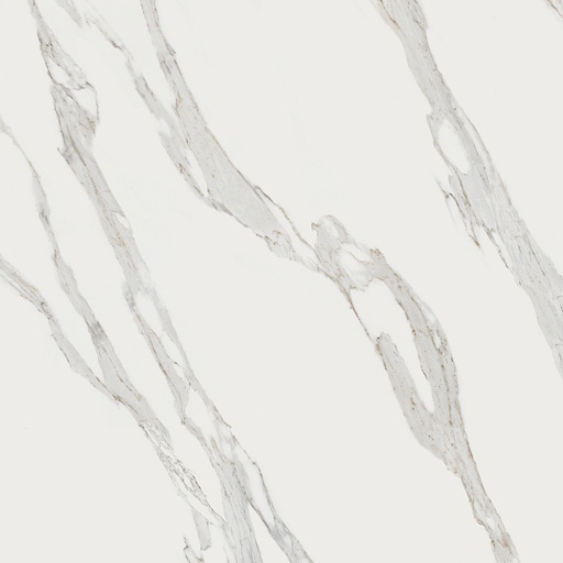 [TW21] Porcelanato Jw02 Calacattareale Mate Rectificado 60x119,7 cm