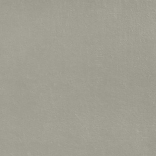 [TE04] Porcelanato Replain Perla Pa03 Labrado Rectificado 30x60 cm 