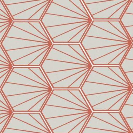 [F925] Porcelanato Paprica Par P3 Col Mate Rectificado 25x21,6 cm