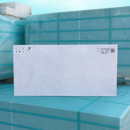 [1133B843503001] Porcelanato Cemento Gris Claro Satinado Rectificado 30x60 cm